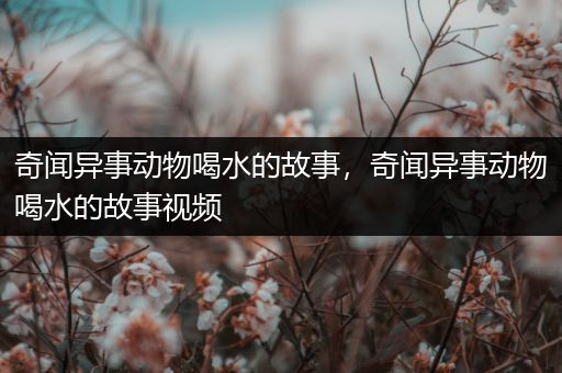 奇闻异事动物喝水的故事，奇闻异事动物喝水的故事视频