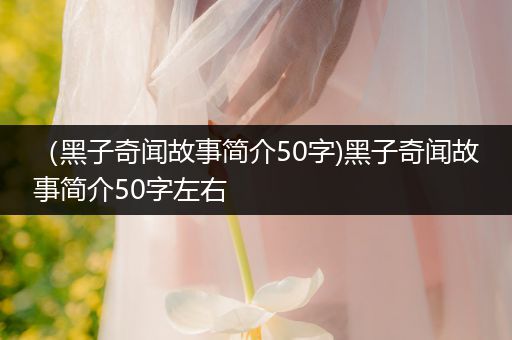 （黑子奇闻故事简介50字)黑子奇闻故事简介50字左右