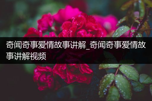 奇闻奇事爱情故事讲解_奇闻奇事爱情故事讲解视频