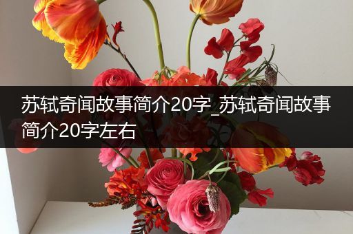苏轼奇闻故事简介20字_苏轼奇闻故事简介20字左右