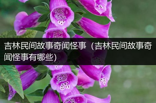 吉林民间故事奇闻怪事（吉林民间故事奇闻怪事有哪些）