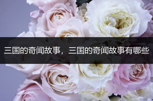 三国的奇闻故事，三国的奇闻故事有哪些