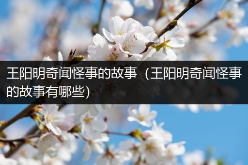 王阳明奇闻怪事的故事（王阳明奇闻怪事的故事有哪些）