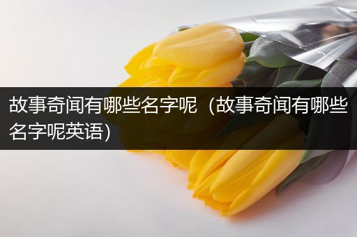 故事奇闻有哪些名字呢（故事奇闻有哪些名字呢英语）