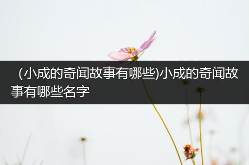 （小成的奇闻故事有哪些)小成的奇闻故事有哪些名字