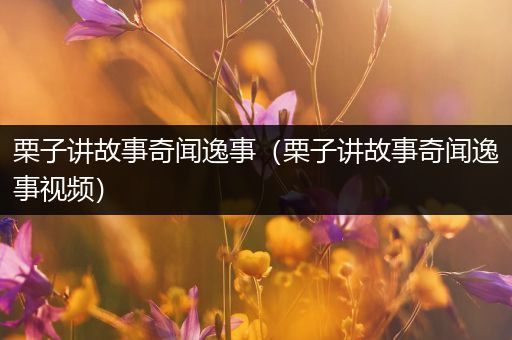 栗子讲故事奇闻逸事（栗子讲故事奇闻逸事视频）