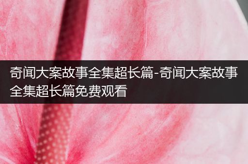 奇闻大案故事全集超长篇-奇闻大案故事全集超长篇免费观看