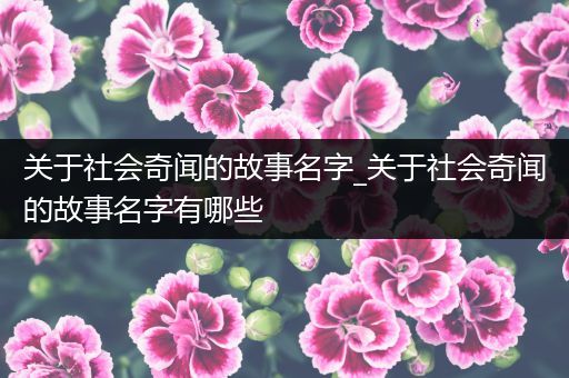 关于社会奇闻的故事名字_关于社会奇闻的故事名字有哪些