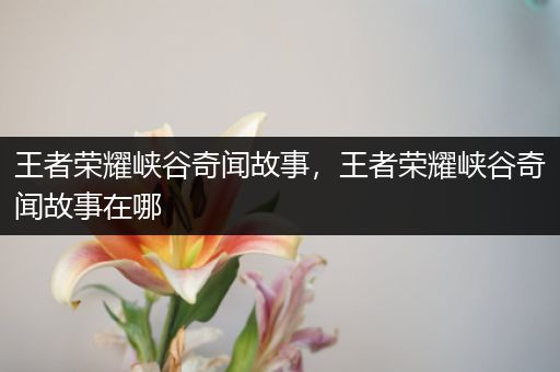 王者荣耀峡谷奇闻故事，王者荣耀峡谷奇闻故事在哪