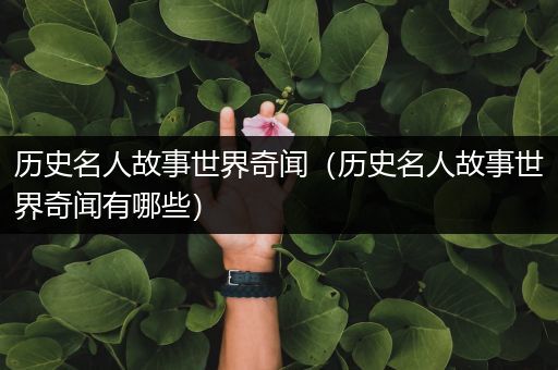 历史名人故事世界奇闻（历史名人故事世界奇闻有哪些）