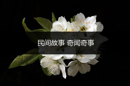 民间故事 奇闻奇事