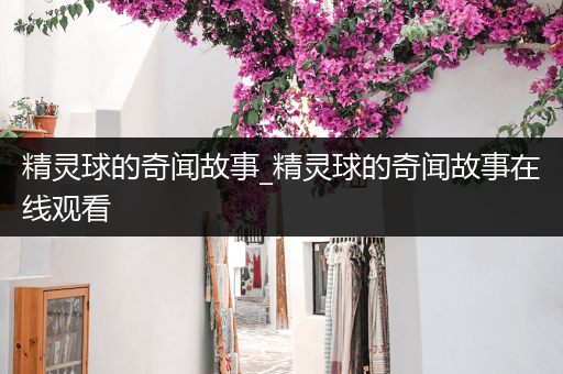 精灵球的奇闻故事_精灵球的奇闻故事在线观看