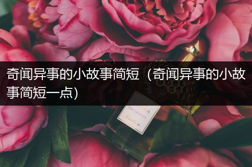奇闻异事的小故事简短（奇闻异事的小故事简短一点）
