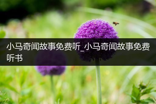 小马奇闻故事免费听_小马奇闻故事免费听书