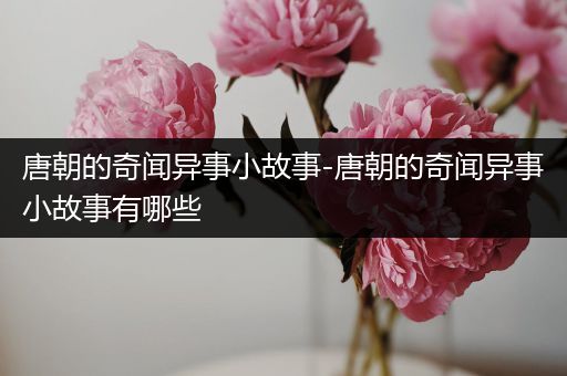 唐朝的奇闻异事小故事-唐朝的奇闻异事小故事有哪些