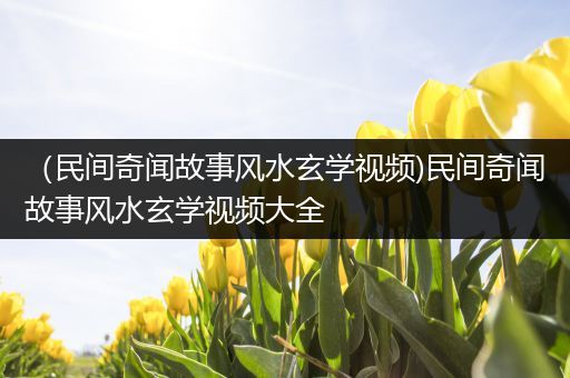 （民间奇闻故事风水玄学视频)民间奇闻故事风水玄学视频大全