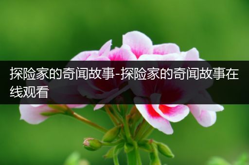 探险家的奇闻故事-探险家的奇闻故事在线观看