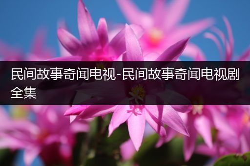 民间故事奇闻电视-民间故事奇闻电视剧全集
