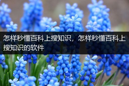 怎样秒懂百科上搜知识，怎样秒懂百科上搜知识的软件