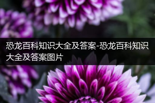 恐龙百科知识大全及答案-恐龙百科知识大全及答案图片