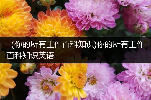 （你的所有工作百科知识)你的所有工作百科知识英语