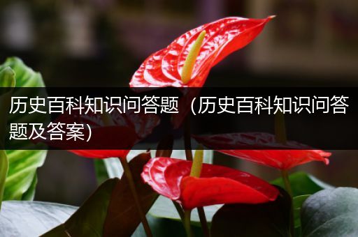 历史百科知识问答题（历史百科知识问答题及答案）