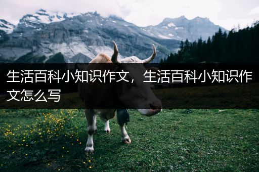 生活百科小知识作文，生活百科小知识作文怎么写