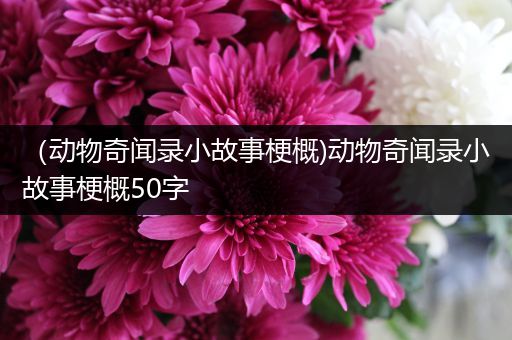 （动物奇闻录小故事梗概)动物奇闻录小故事梗概50字