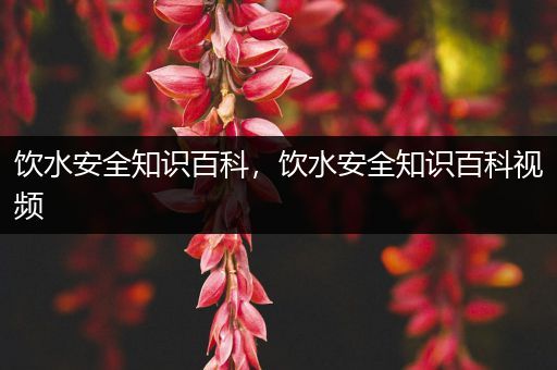 饮水安全知识百科，饮水安全知识百科视频