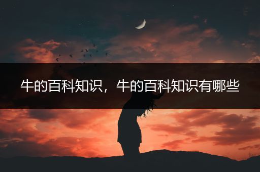 牛的百科知识，牛的百科知识有哪些