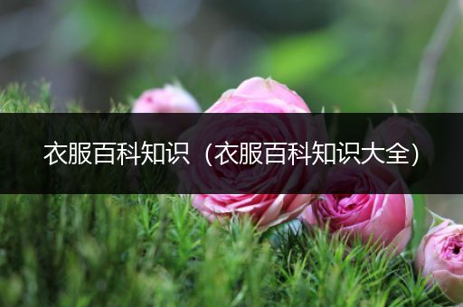 衣服百科知识（衣服百科知识大全）