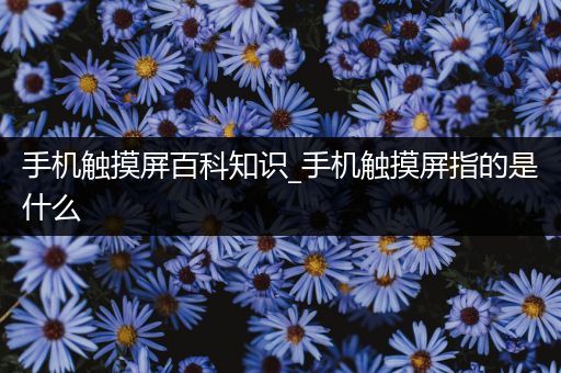 手机触摸屏百科知识_手机触摸屏指的是什么