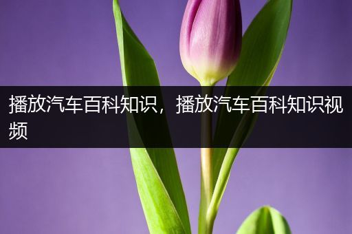 播放汽车百科知识，播放汽车百科知识视频