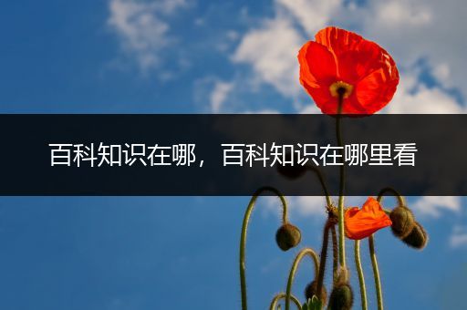 百科知识在哪，百科知识在哪里看