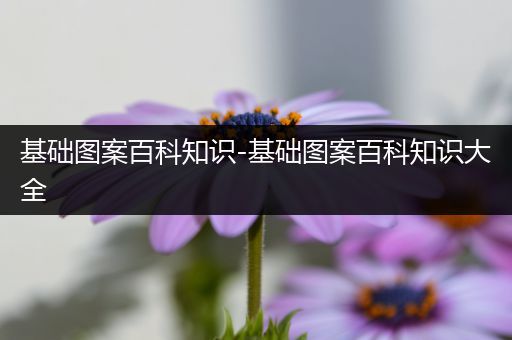 基础图案百科知识-基础图案百科知识大全