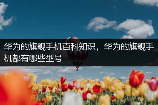 华为的旗舰手机百科知识，华为的旗舰手机都有哪些型号