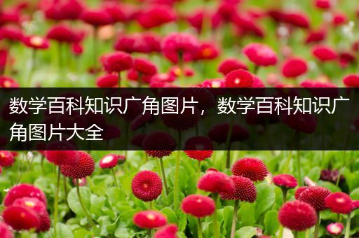 数学百科知识广角图片，数学百科知识广角图片大全