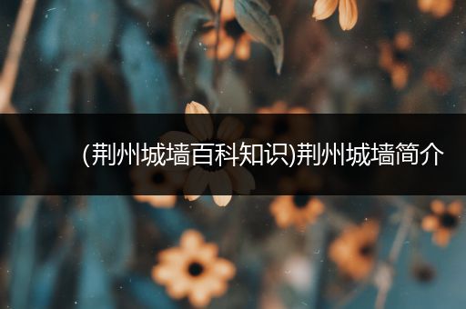 （荆州城墙百科知识)荆州城墙简介