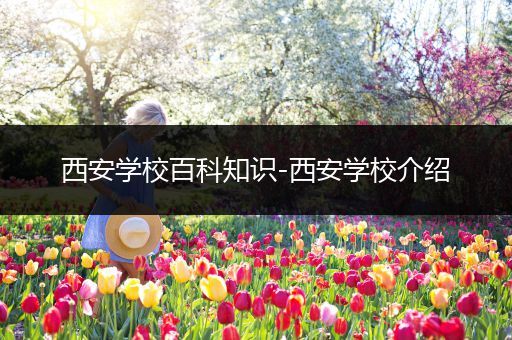 西安学校百科知识-西安学校介绍