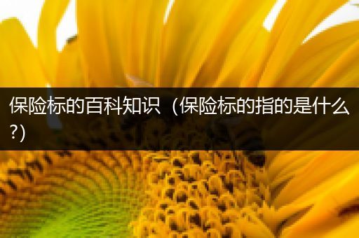 保险标的百科知识（保险标的指的是什么?）