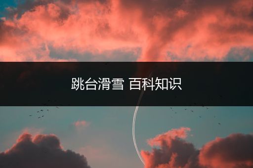 跳台滑雪 百科知识