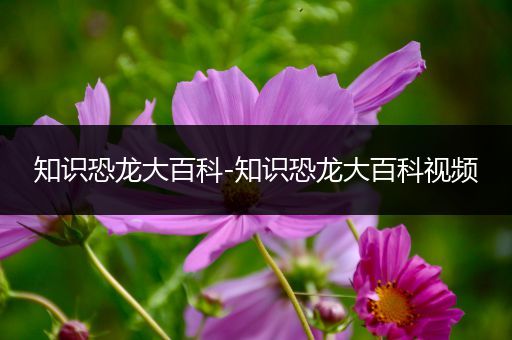 知识恐龙大百科-知识恐龙大百科视频