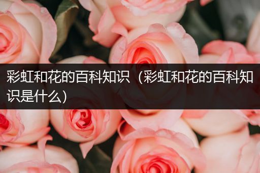 彩虹和花的百科知识（彩虹和花的百科知识是什么）