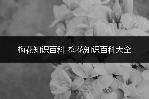 梅花知识百科-梅花知识百科大全