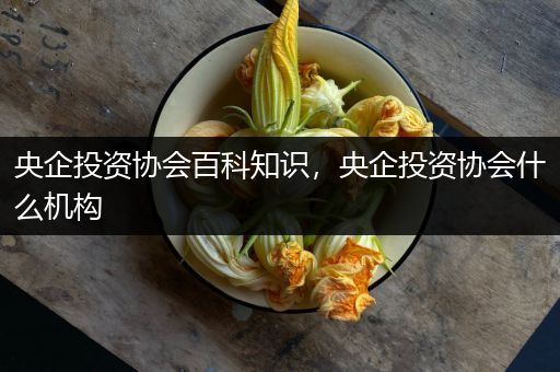 央企投资协会百科知识，央企投资协会什么机构