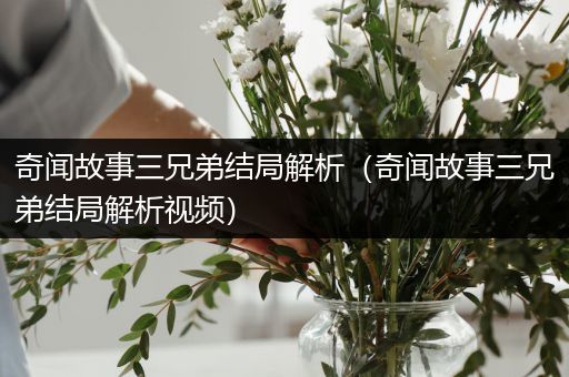 奇闻故事三兄弟结局解析（奇闻故事三兄弟结局解析视频）