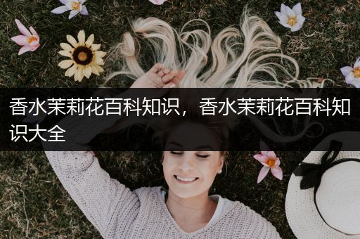 香水茉莉花百科知识，香水茉莉花百科知识大全