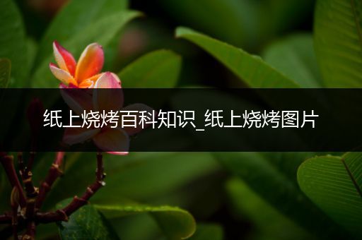 纸上烧烤百科知识_纸上烧烤图片
