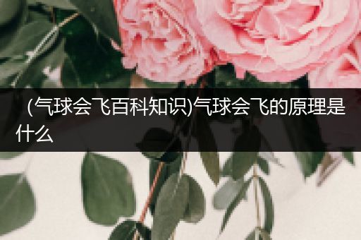 （气球会飞百科知识)气球会飞的原理是什么