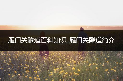 雁门关隧道百科知识_雁门关隧道简介